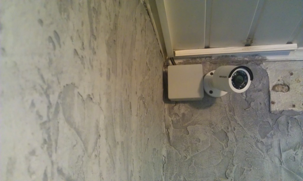 IMAG0385