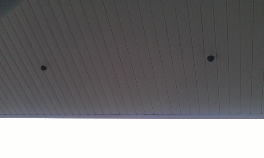 IMAG0445